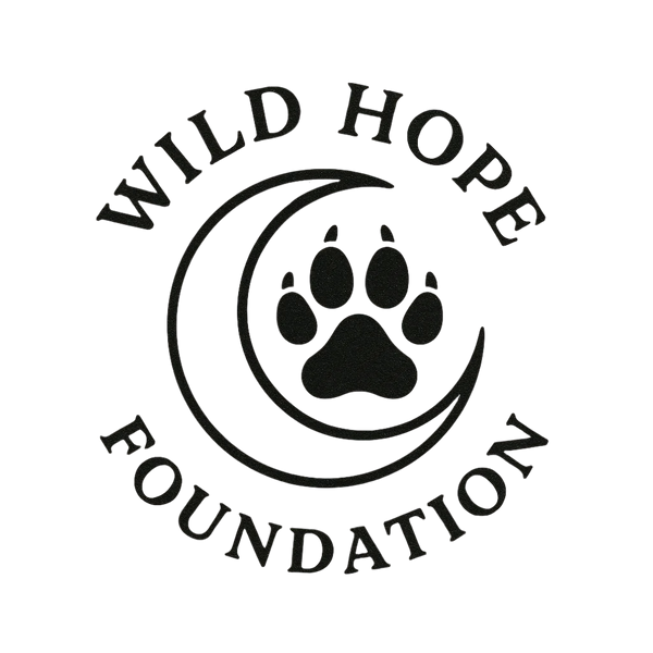 Wild Hope Foundation